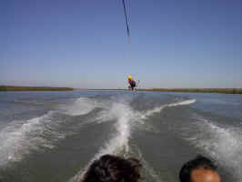 IM000551.JPG (325346 bytes)